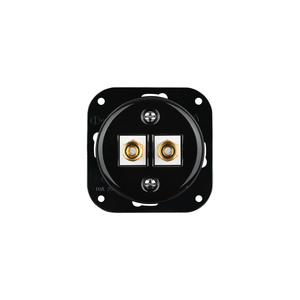 FND KAIUTINPISTORASIA MUSTA POSLIINI